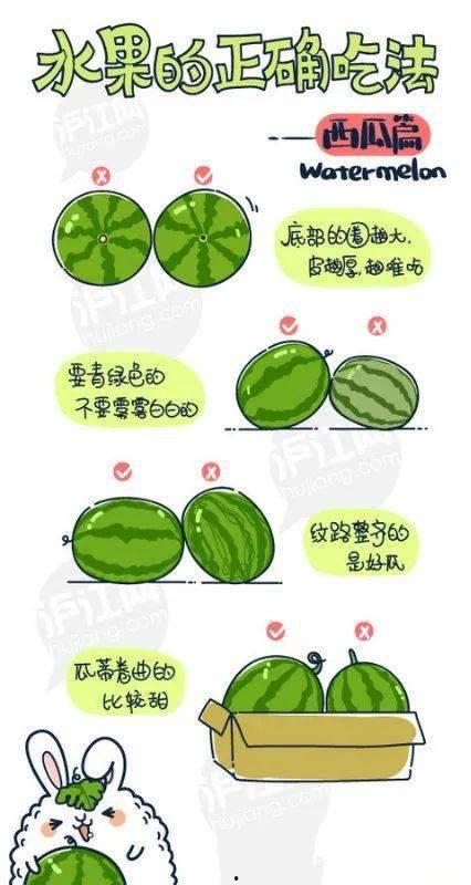 娱乐吃瓜素材在哪找到,吃瓜素材大搜集，带你一探究竟