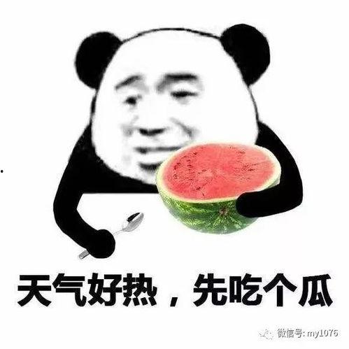 娱乐吃瓜酱你只管善良,娱乐吃瓜酱的温暖启示录