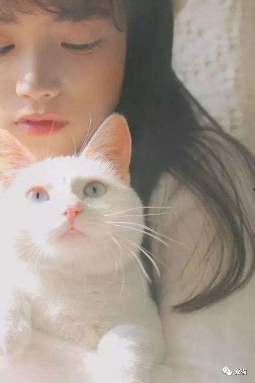 娱乐吃瓜少女喵,揭秘娱乐圈那些不为人知的幕后故事