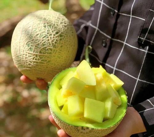 娱乐吃瓜酱橘子甜不甜