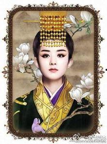 娱乐吃瓜酱皇上太医小说