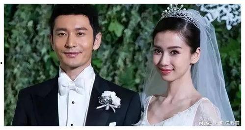 娱乐圈理性吃瓜,揭秘明星幕后真相