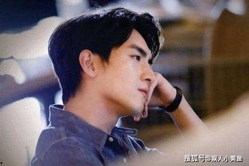 娱乐圈吃瓜爆料林更新,娱乐圈爆料背后的真相与争议