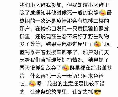 娱乐吃瓜群名叫什么名字,揭秘“娱乐吃瓜群”背后的热点事件与趣味瞬间