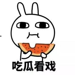 娱乐吃瓜酱脑子有问题,揭秘“脑子有问题”背后的疯狂世界