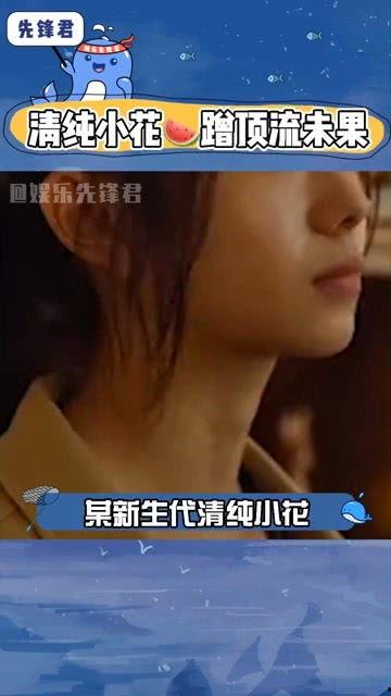 娱乐吃瓜八卦直播,揭秘娱乐圈幕后八卦，吃瓜群众狂欢盛宴